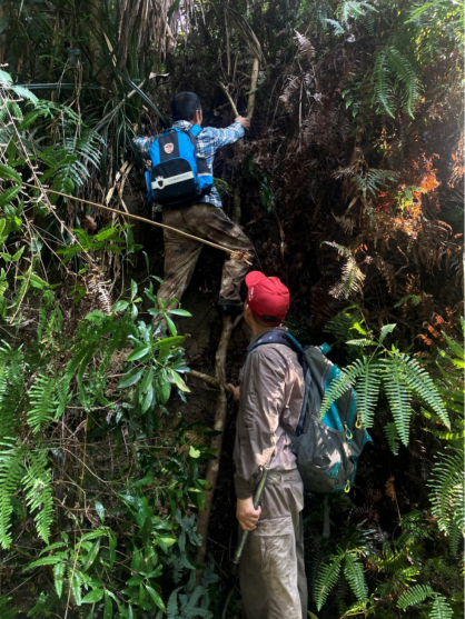 微信图片_20250615170124