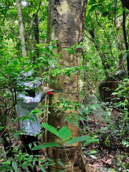 微信图片_20250615170558