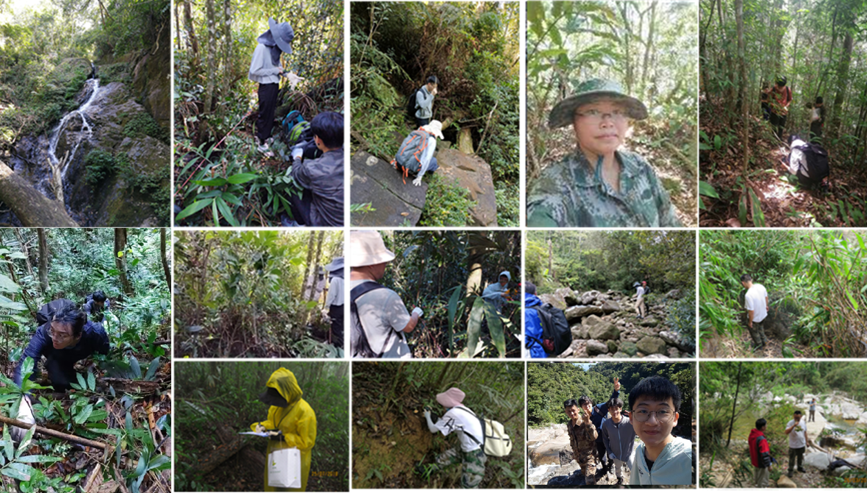 /Users/du/Library/Containers/com.kingsoft.wpsoffice.mac/Data/tmp/picturecompress_20250522111100/output_1.pngoutput_1